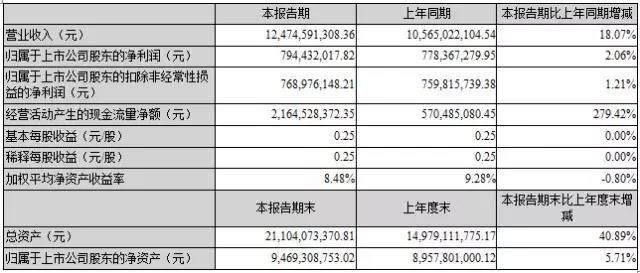 上半年主要会计数据和财务指标.jpg